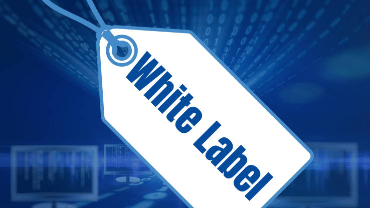 White Label und virtuelle Nameserver erklärt